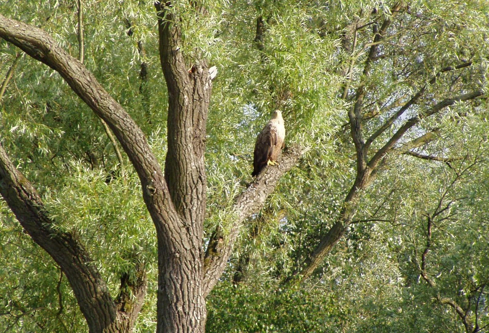 Poznaj zieleń i industrialne oblicze Szczecina